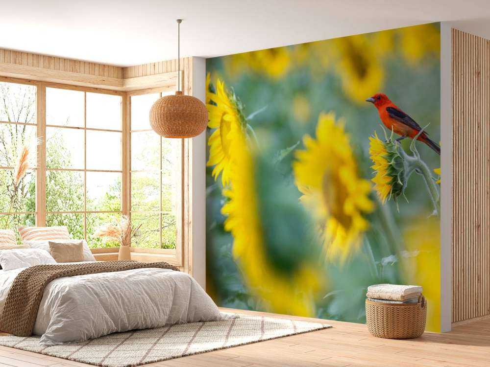 Sunflower field with red bird