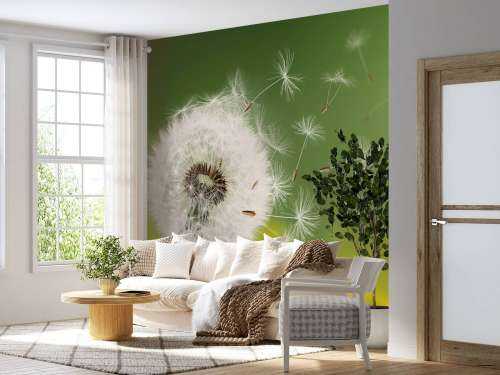 Dandelion