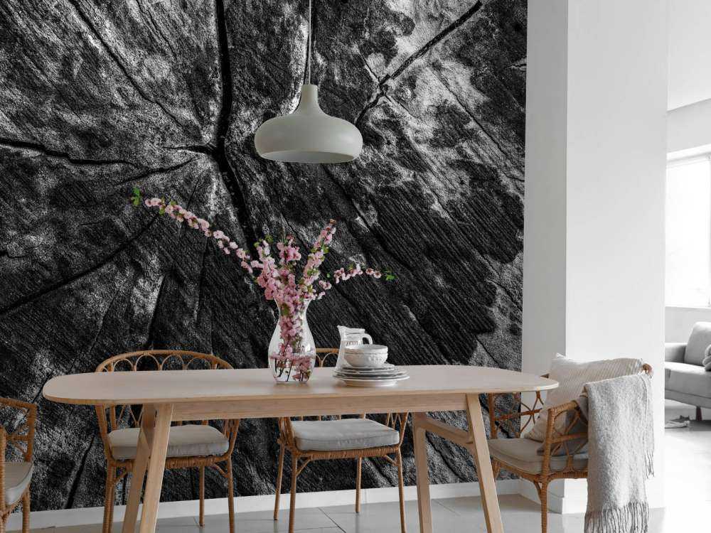 Zwart-witte boomstronk