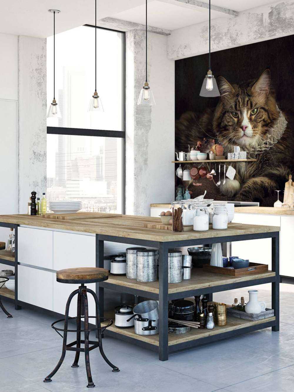 Muis en kat