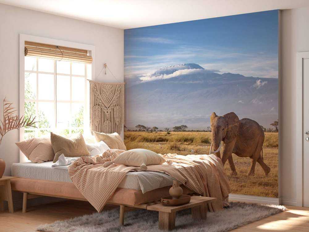 Afrikaanse olifant in een grasland