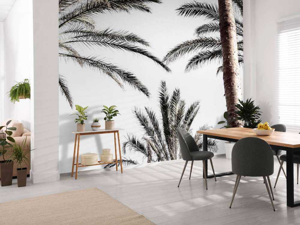 Palmtrees in the sun