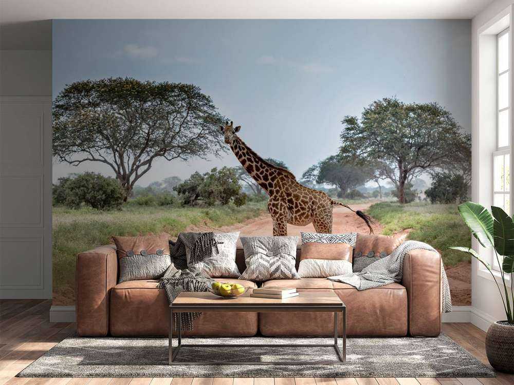 Verbaasde giraffe