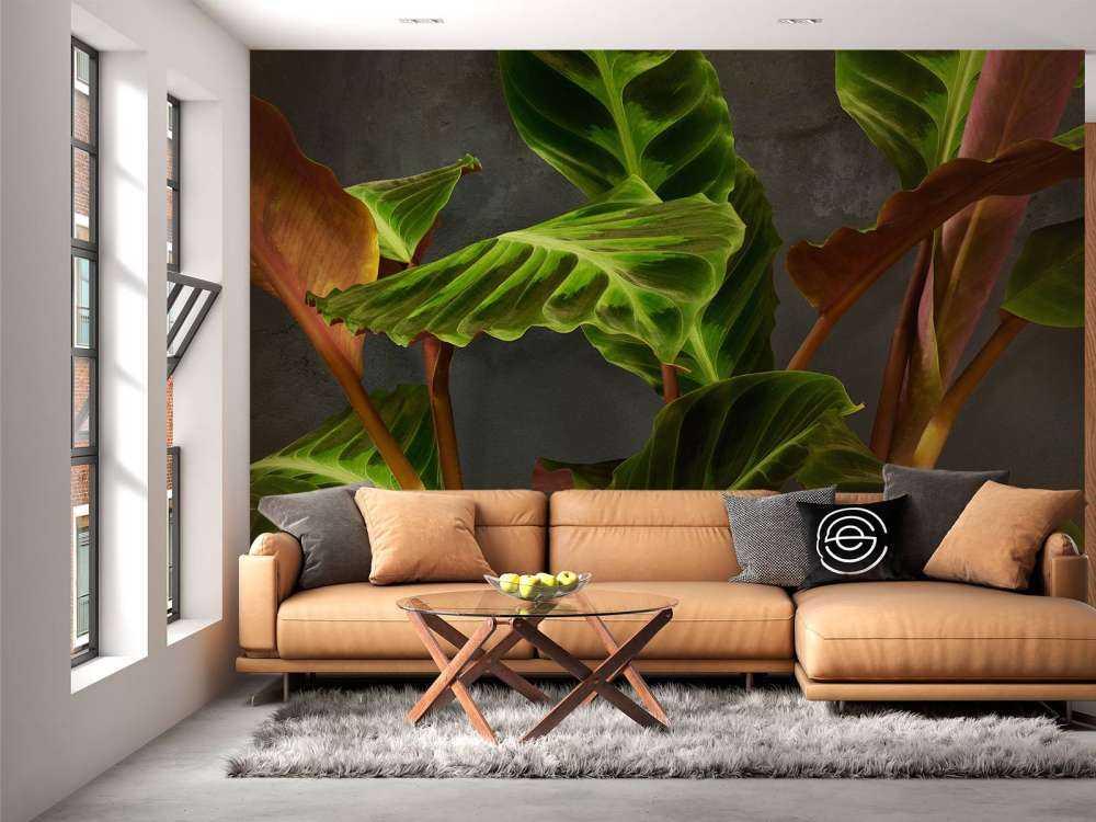 Plant with beautiful green leaves