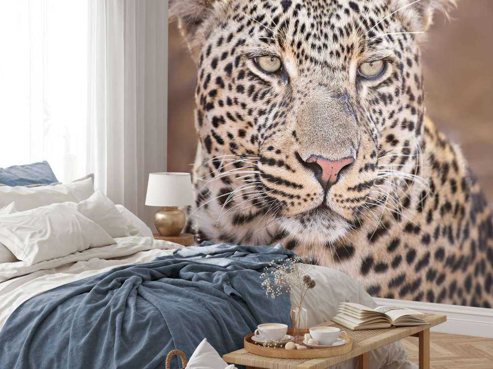 Leopard portrait