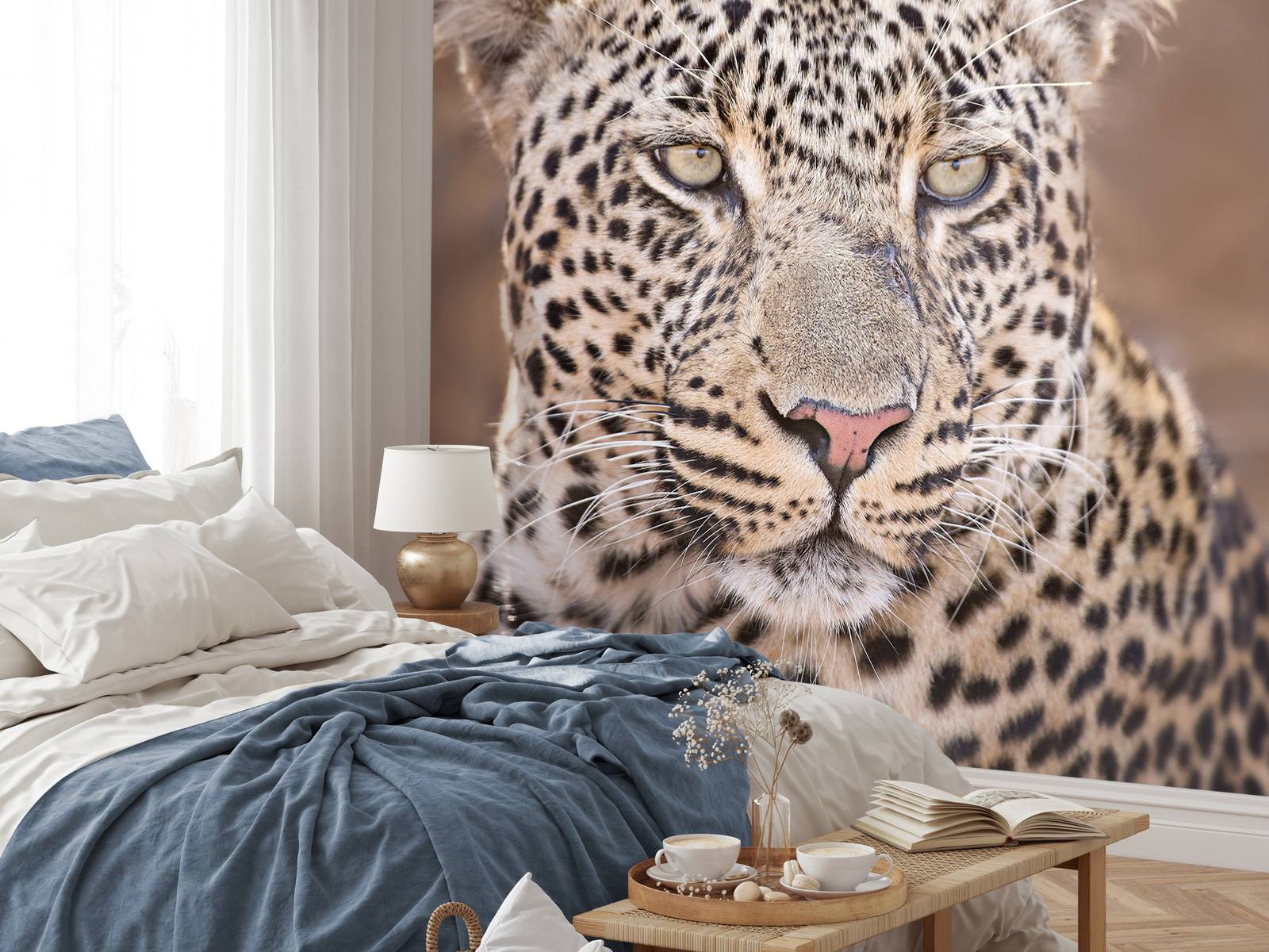 Leopard portrait