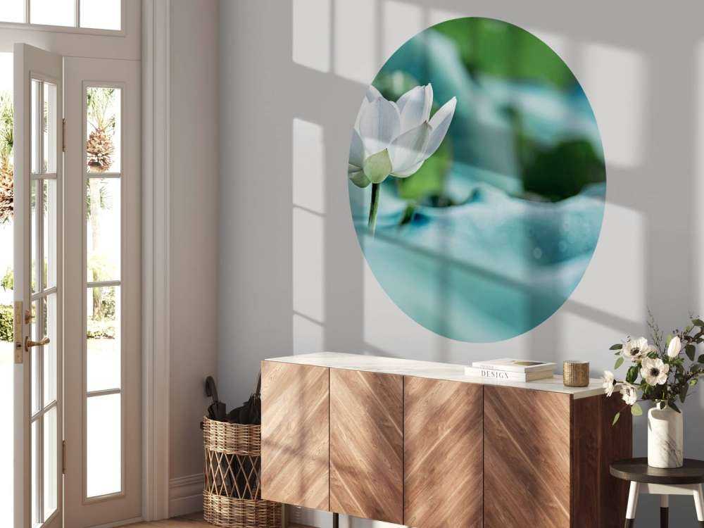 White lotus flower