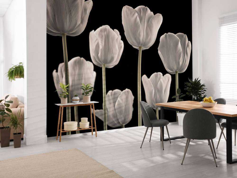 Different tulips