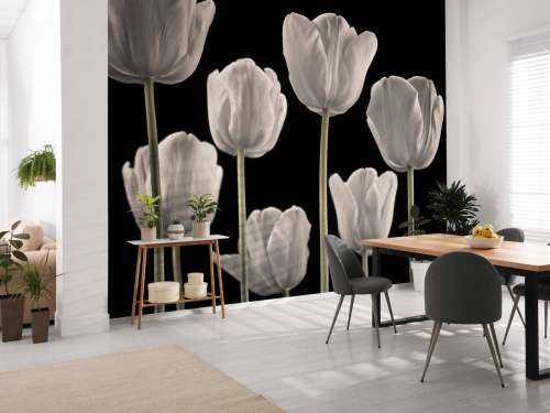 Different tulips