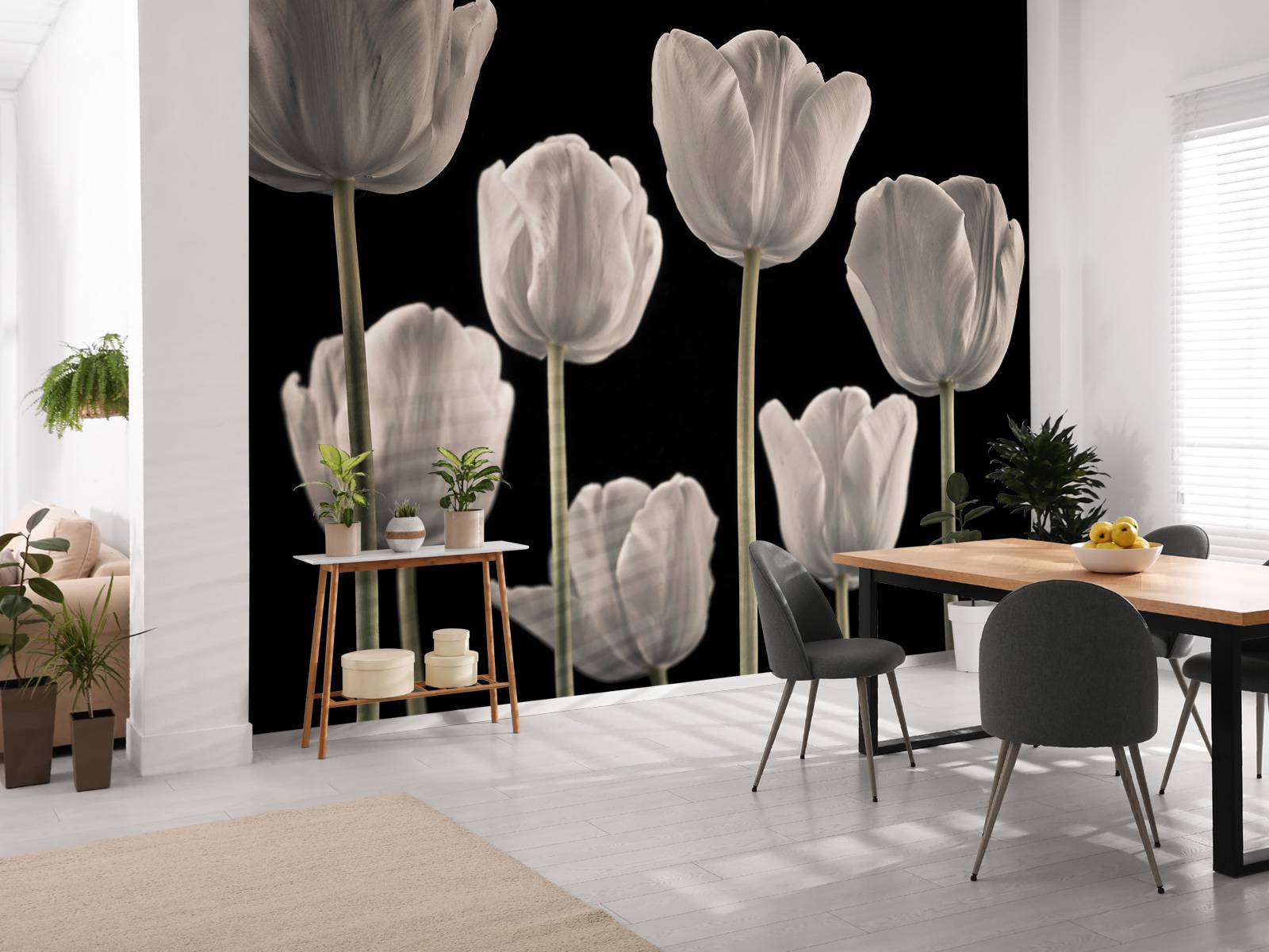 Different tulips