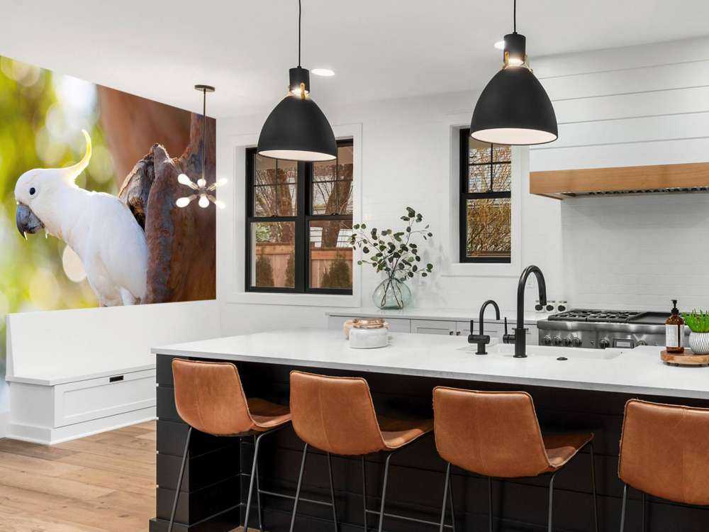 Cockatoo in tree cavity