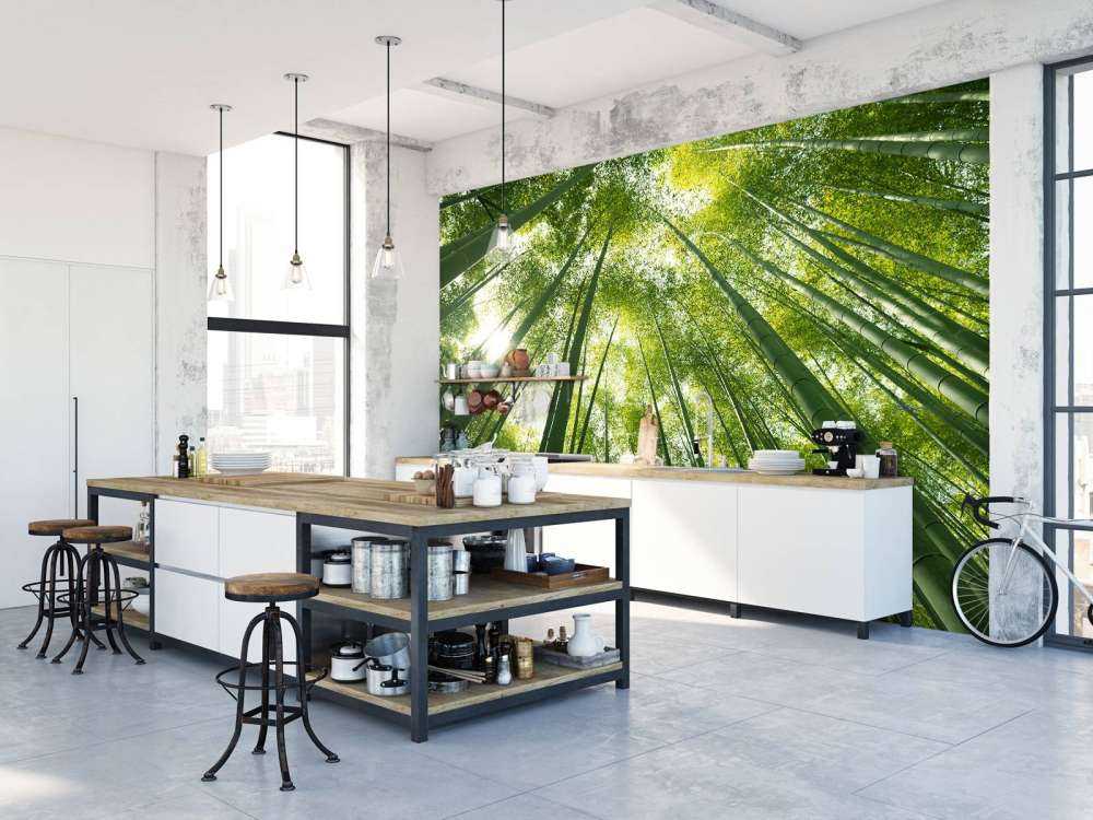 Bamboo forest in Japan