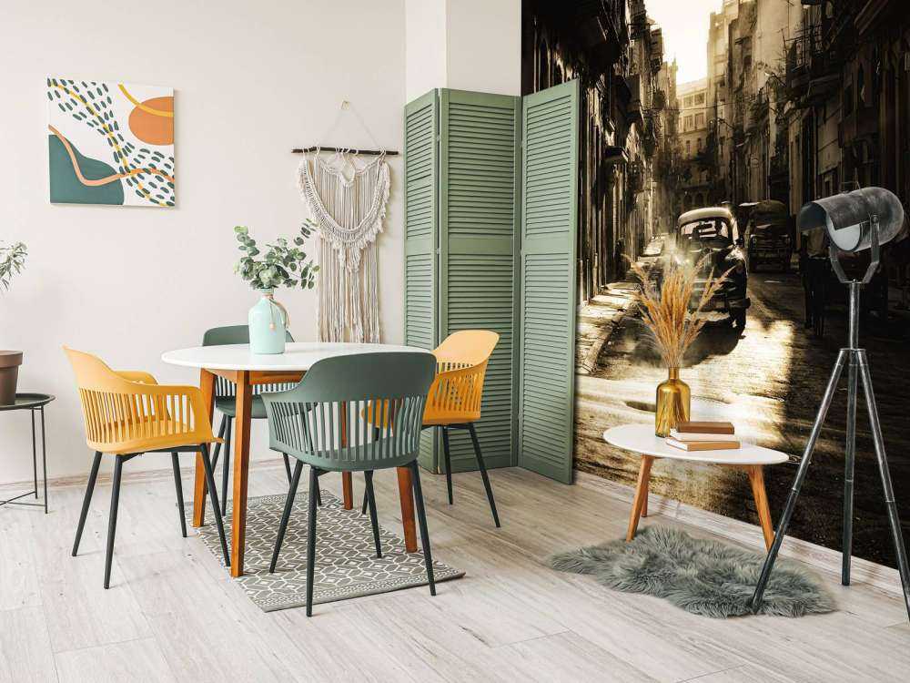 Mystic morning in Havana