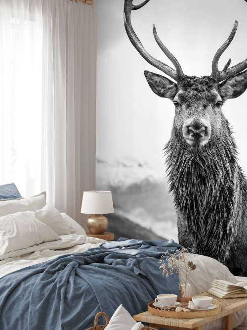 Big deer