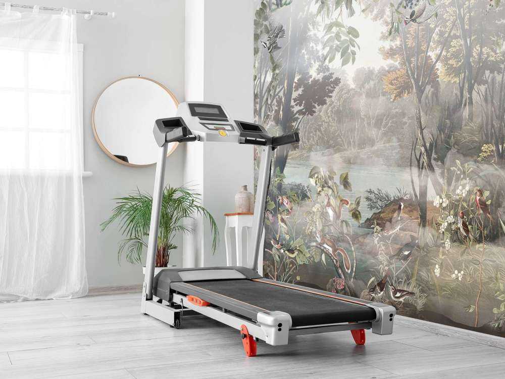 Mystical Forest Birds