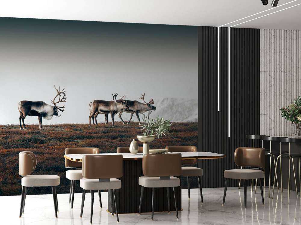 Group of reindeer in northern Europe