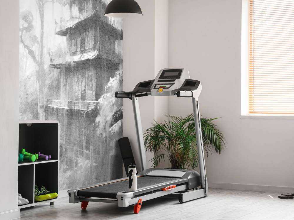 Hidden Hut in Misty Forest