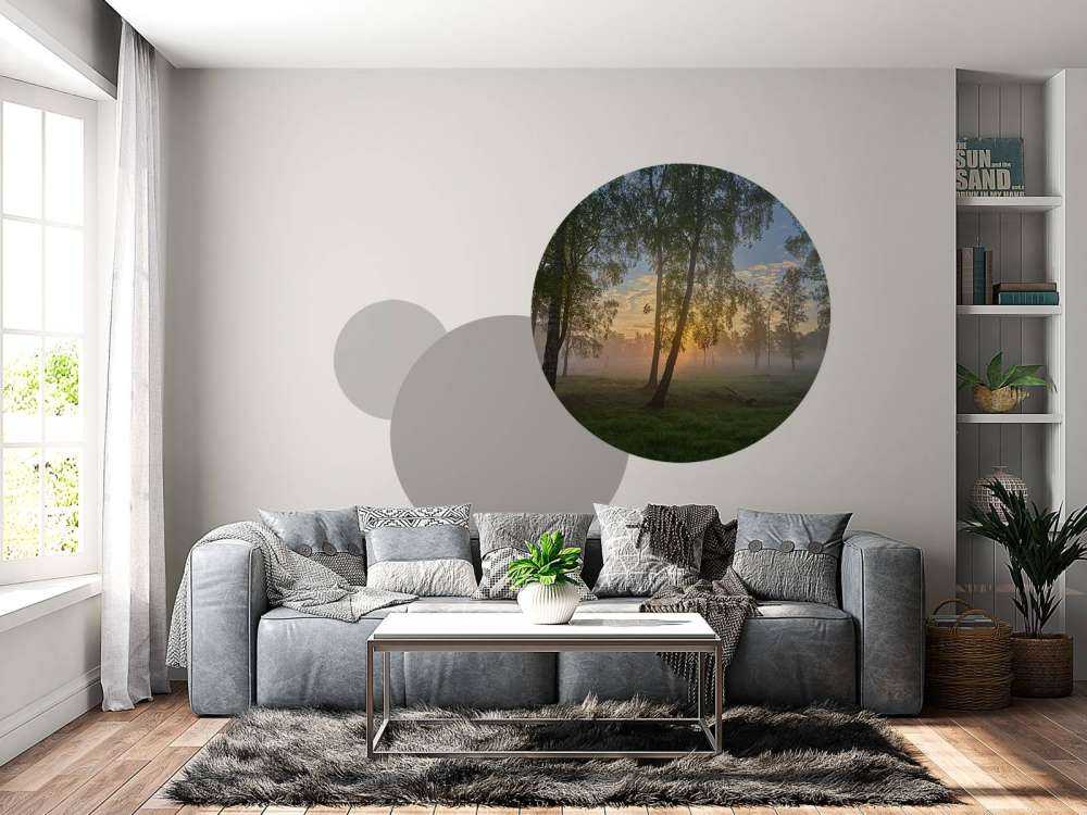 Sunrise by the birches