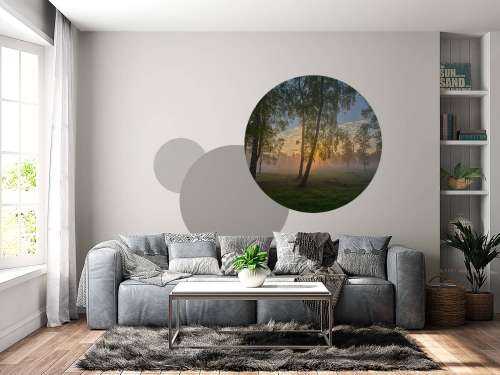Sunrise by the birches