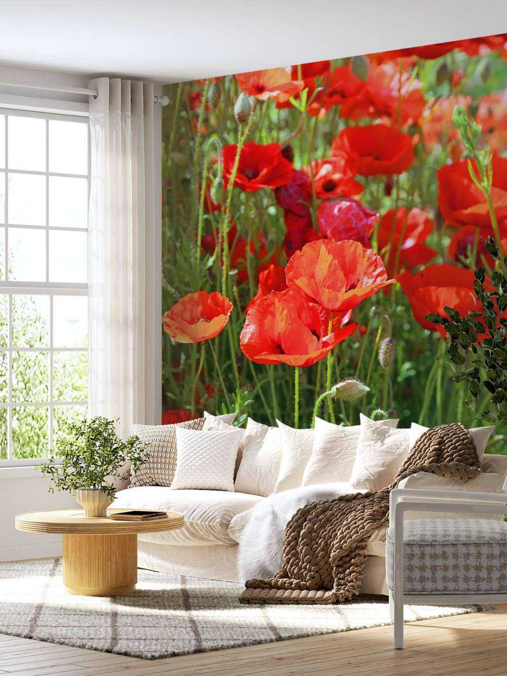 Close-up of poppies