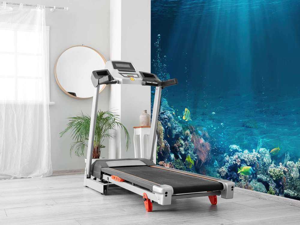 Sunbeams through the water