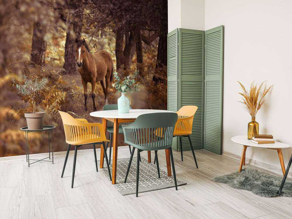 Horse in the wilderness