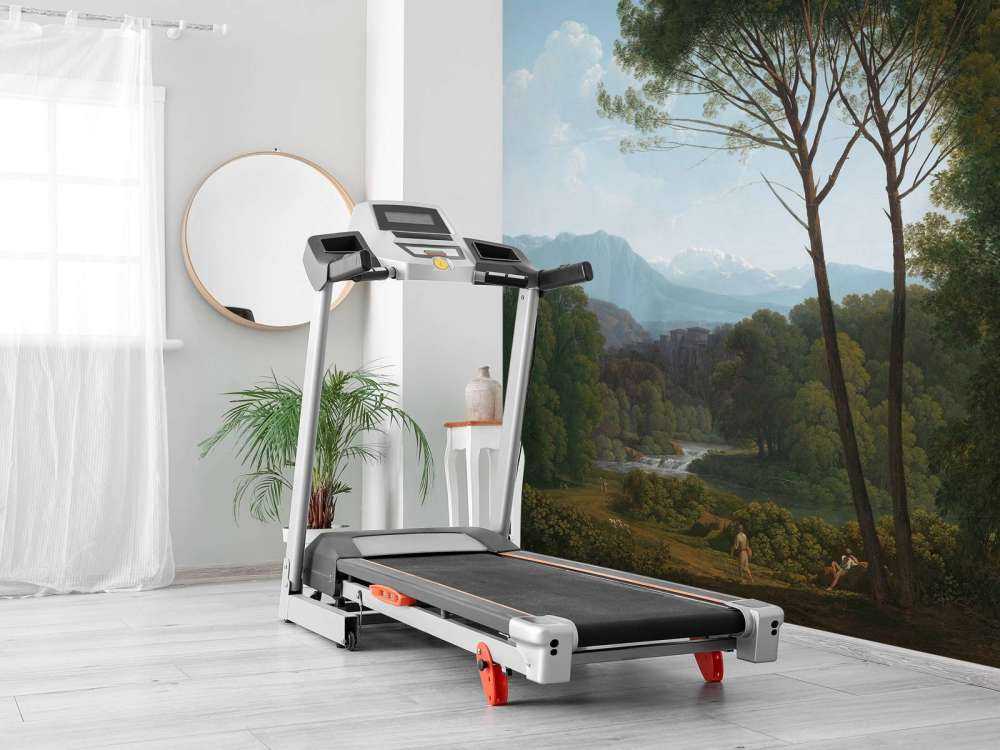 Italian landscape with pine trees