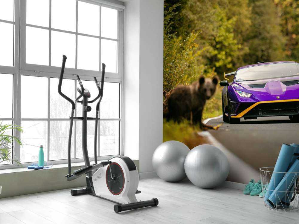 Lamborghini vs. wilderness