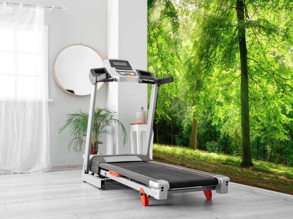 Forest with light mist