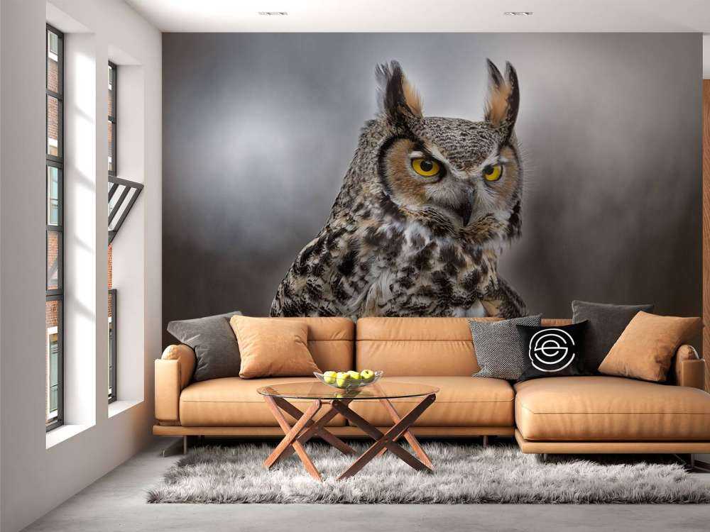 Brown feathered owl
