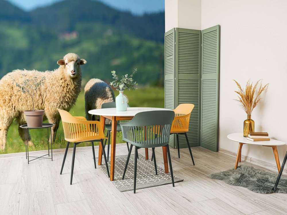 Two sheep in the meadow