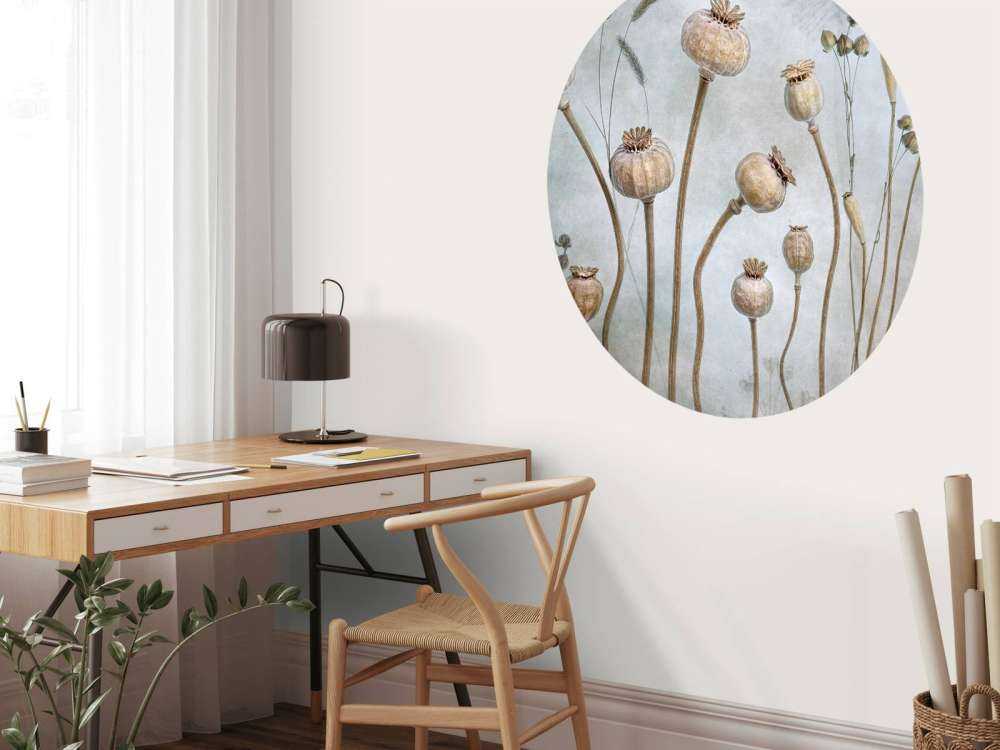 Papaver