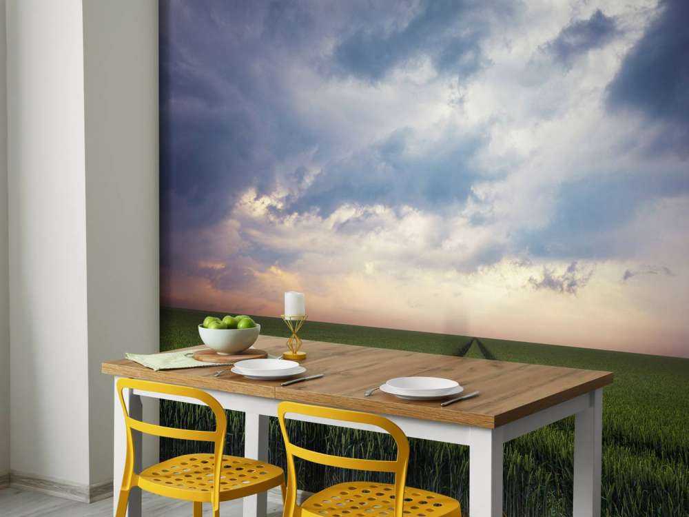 Tracks in wheat field