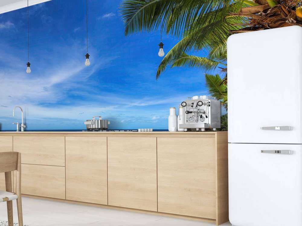 Tropical beach with palm tree