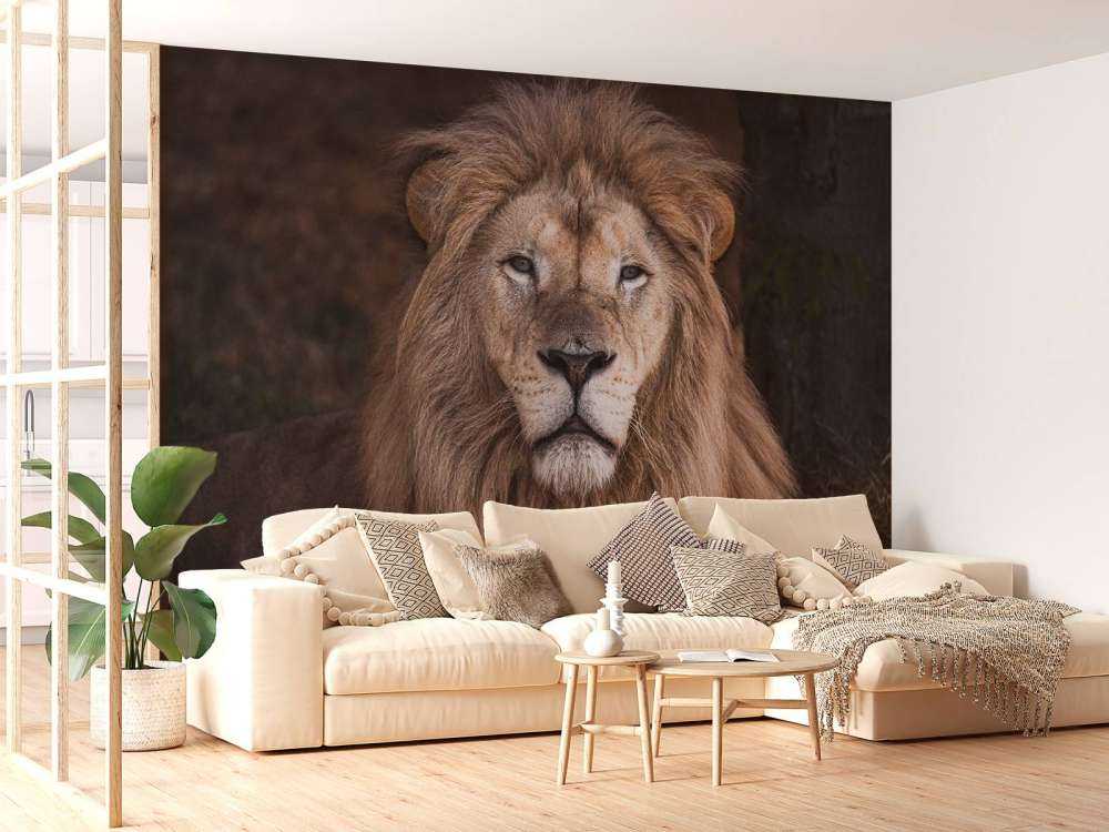 Portrait of a lion