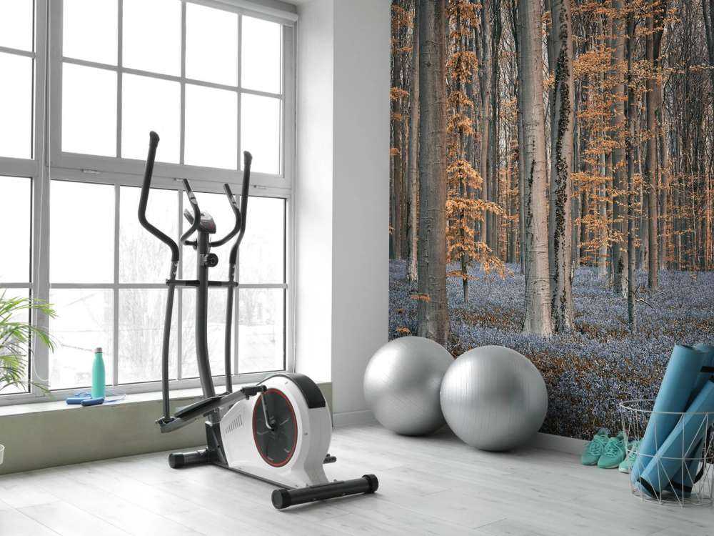 Forest with pastel shades