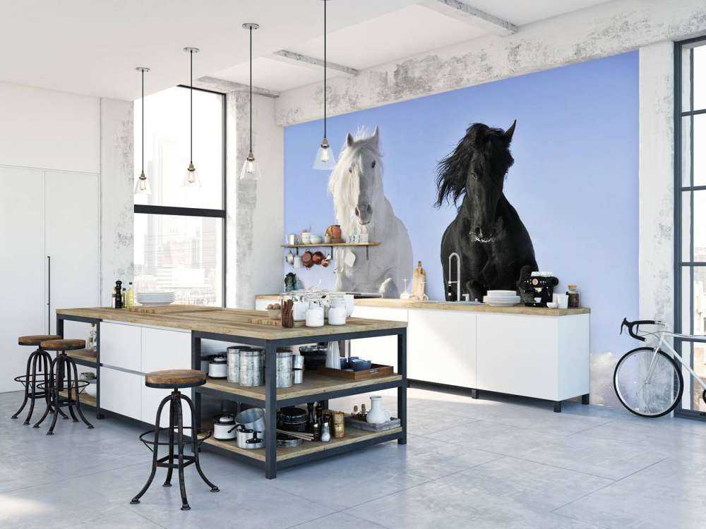 White and a black horse