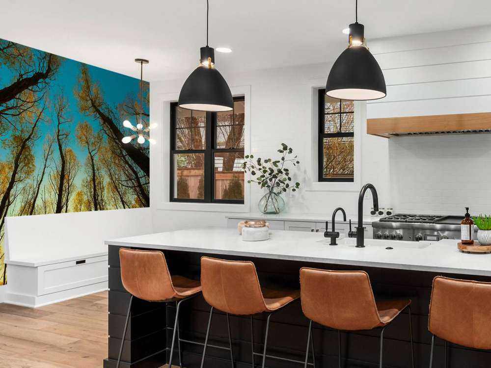 Sunrise between tall trees