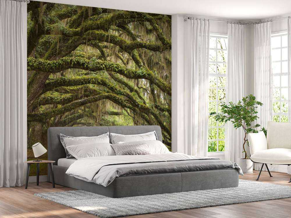 Oak trees
