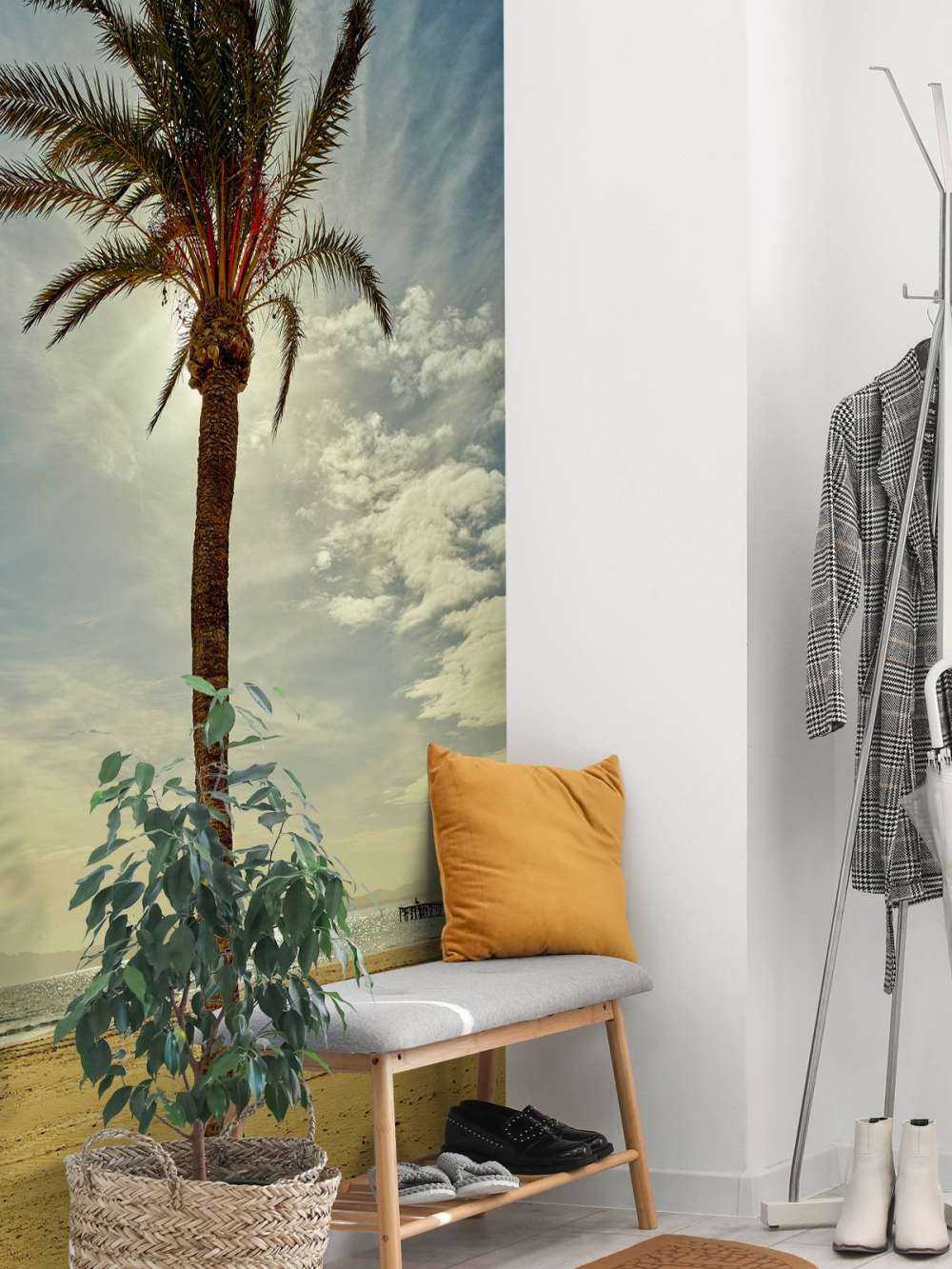 Palm tree in the sun