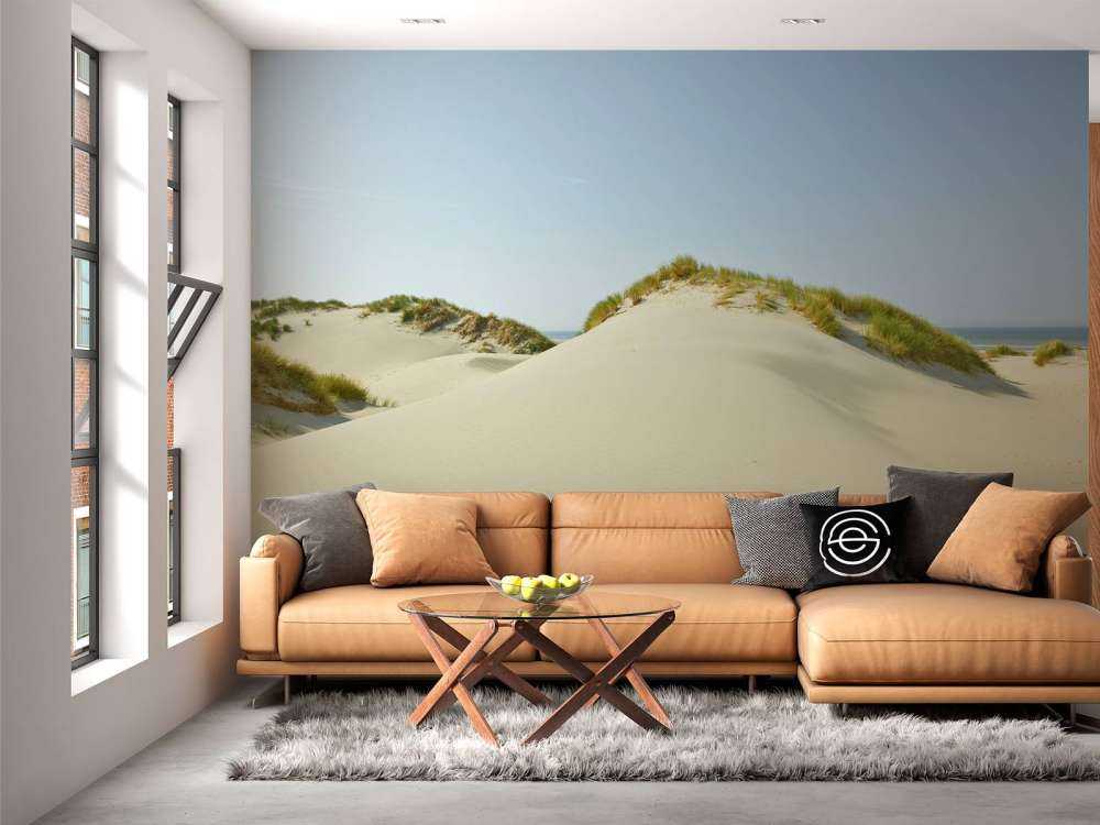 Dunes on the beach