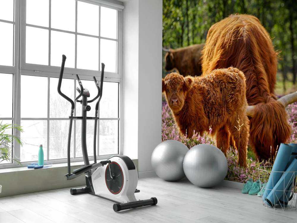 Family Scottish Highlanders