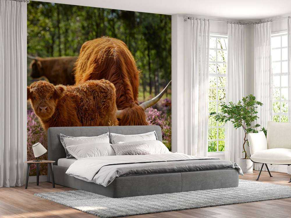 Family Scottish Highlanders