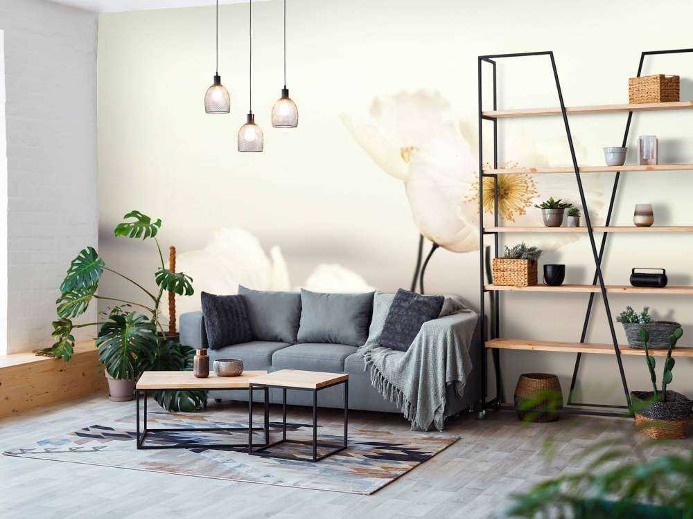 White poppies close-up