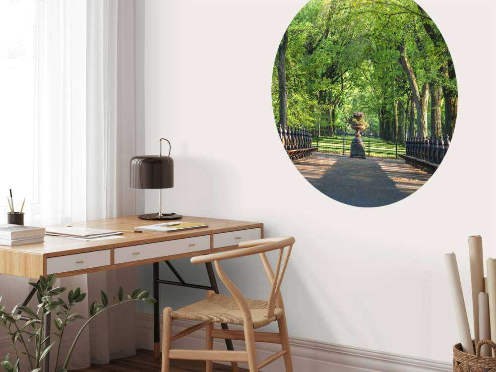 Path in Central Park