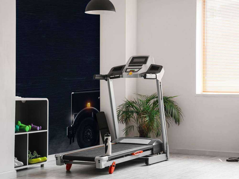 Black and white truck