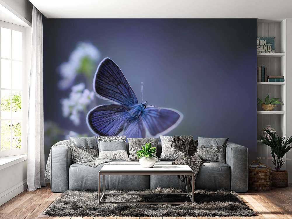 Blue butterfly