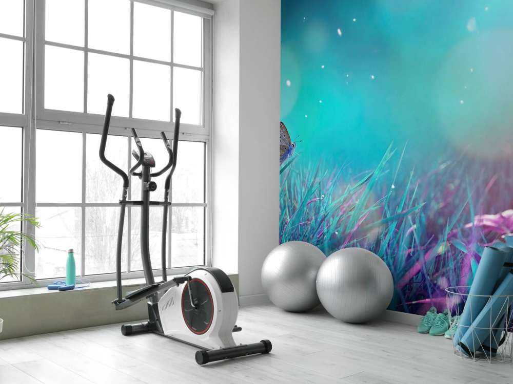 Butterfly in the morning dew