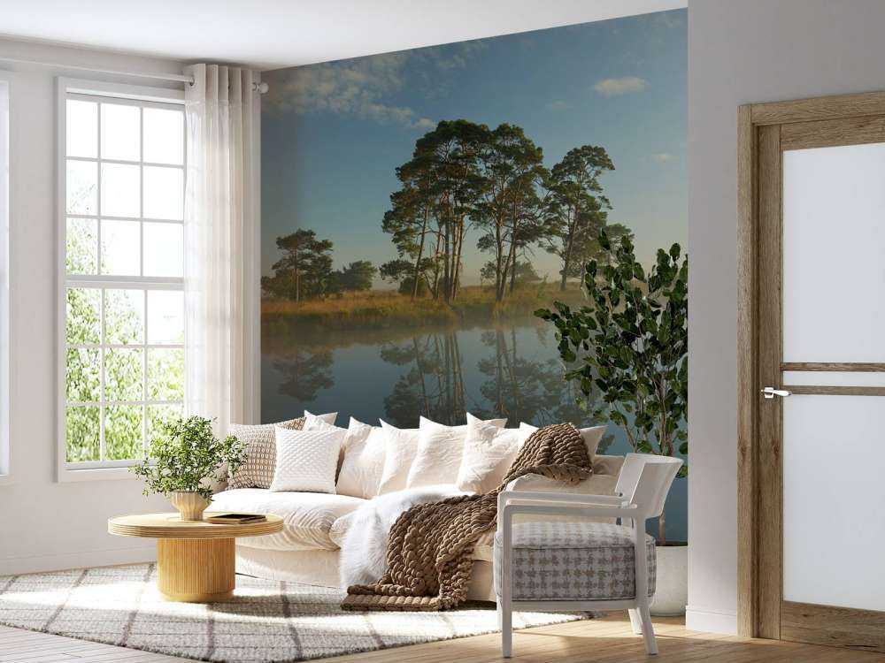 Reflection in moorland