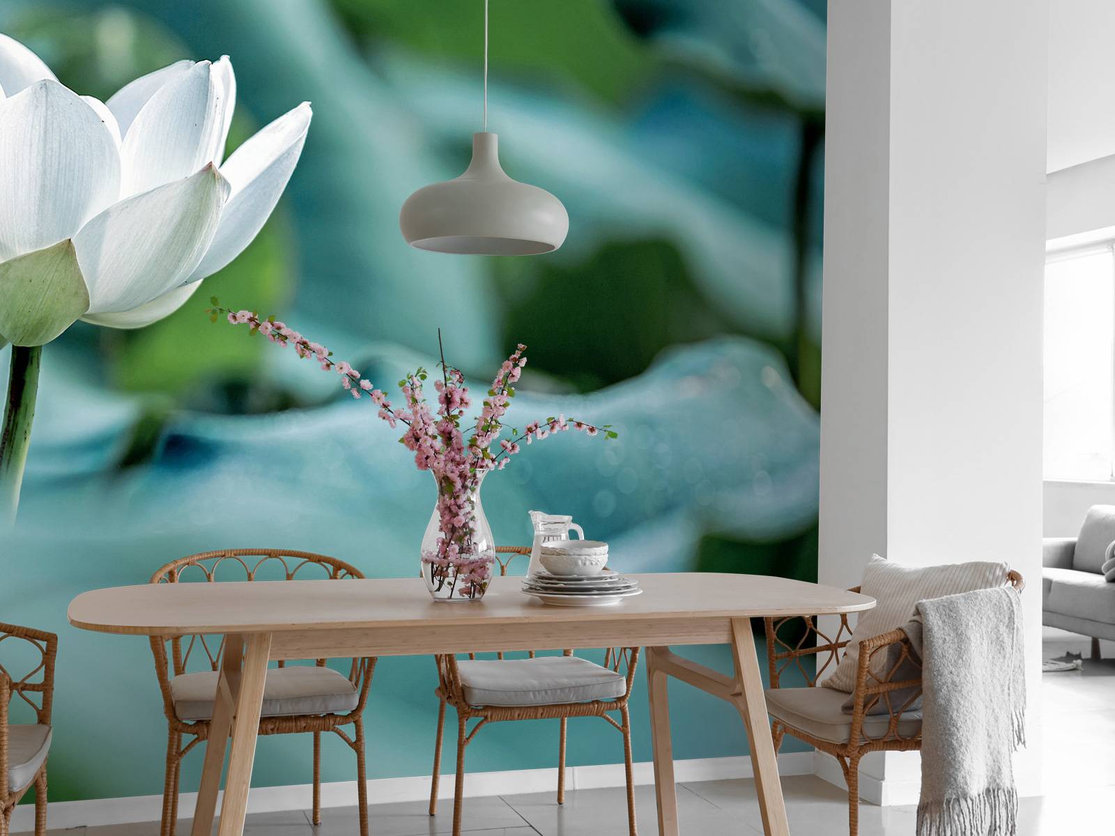 White lotus flower